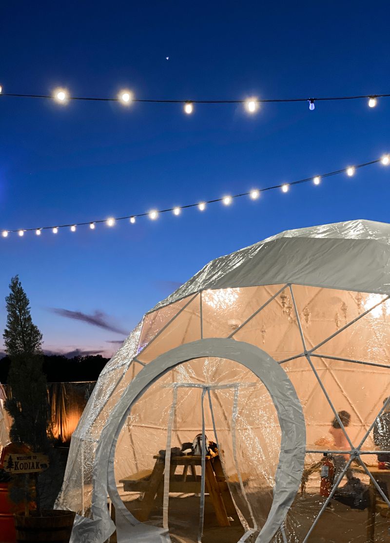 The Alpine Village Vibes: Food, Fires, and Photo Ops