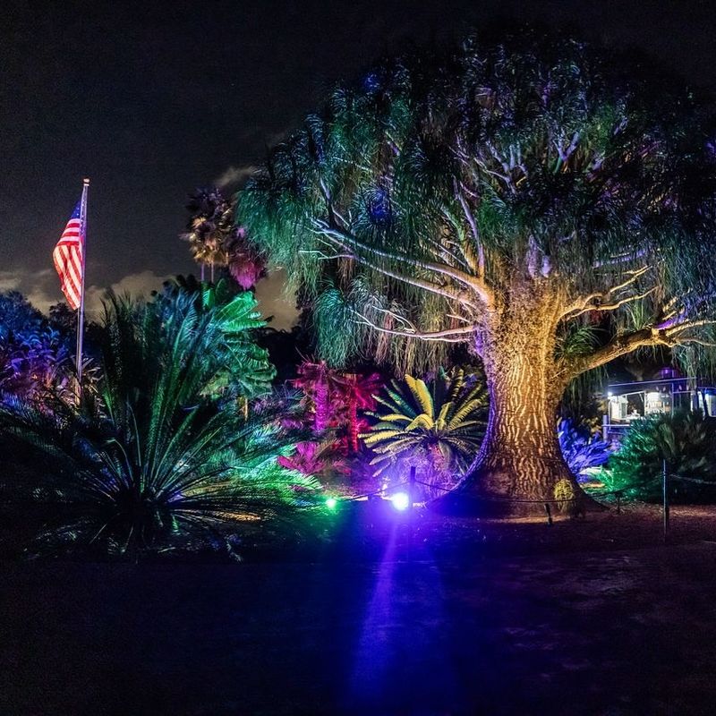 Go to NightGarden at Fairchild for an after-dark holiday glow
