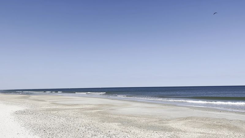 Little Talbot Island