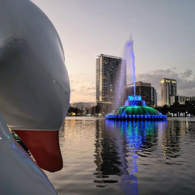 Take a Sunset Swan Boat Ride on Lake Eola