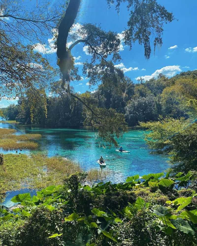 Ocala National Forest (1 hr 30 min)