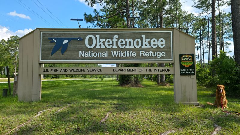 Okefenokee National Wildlife Refuge area (Folkston, GA)
