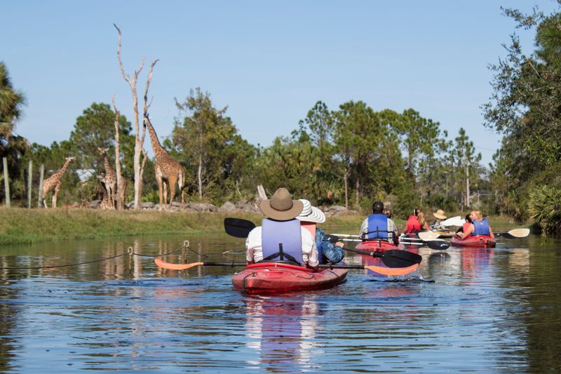 What Makes Brevard Zoo's Kayaking Experience So Unique