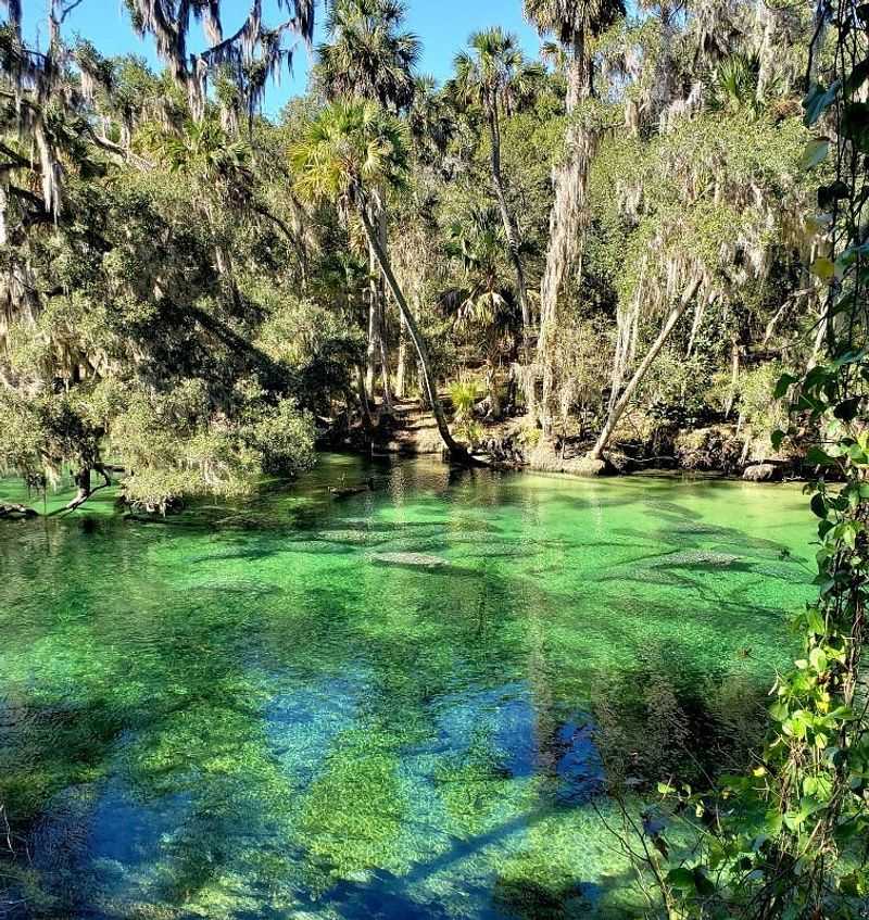 Blue Spring State Park – Orange City