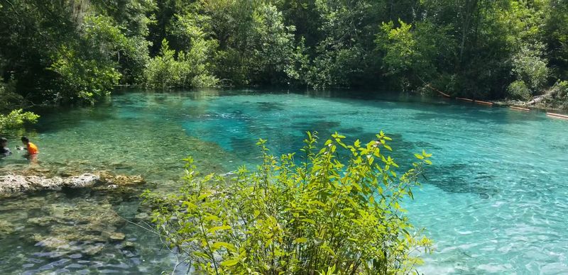 Ichetucknee Springs State Park