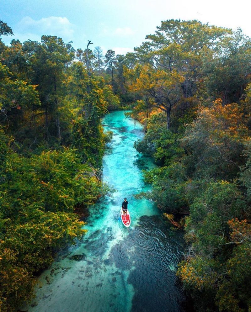 Weeki Wachee River – Spring Hill