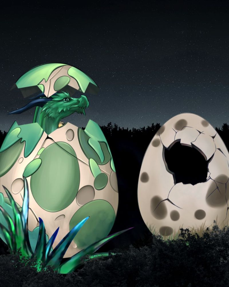 What to Expect at This Dazzling After-Dark Experience