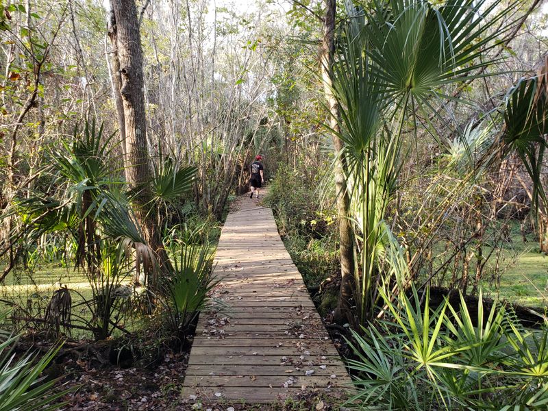 Little Manatee River State Park – Wimauma