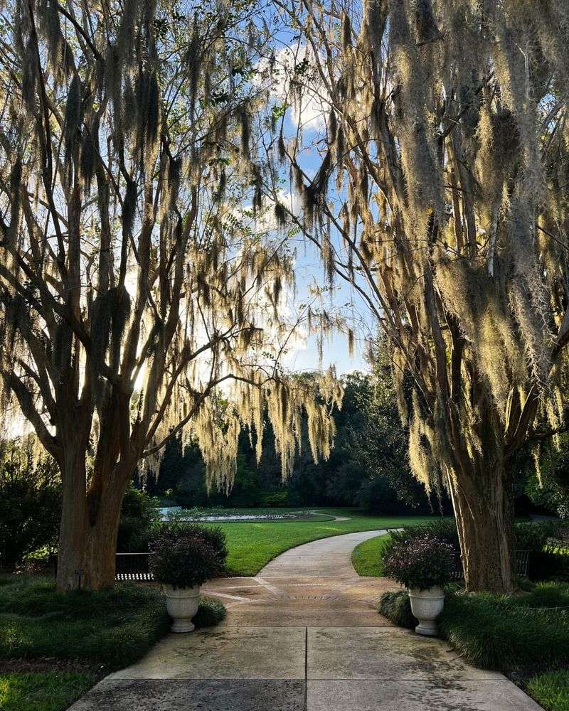 Wander a botanical garden 