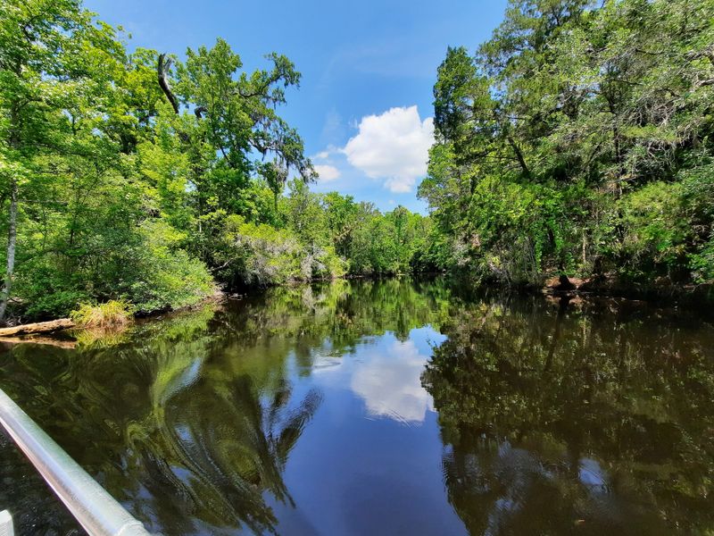 Getting Around the Park: Boats, Boardwalks, and Scenic Trails