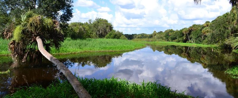 Myakka River State Park – Sarasota