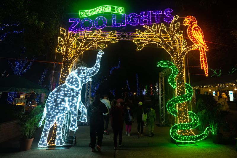 Zoo Lights (Zoo Miami)