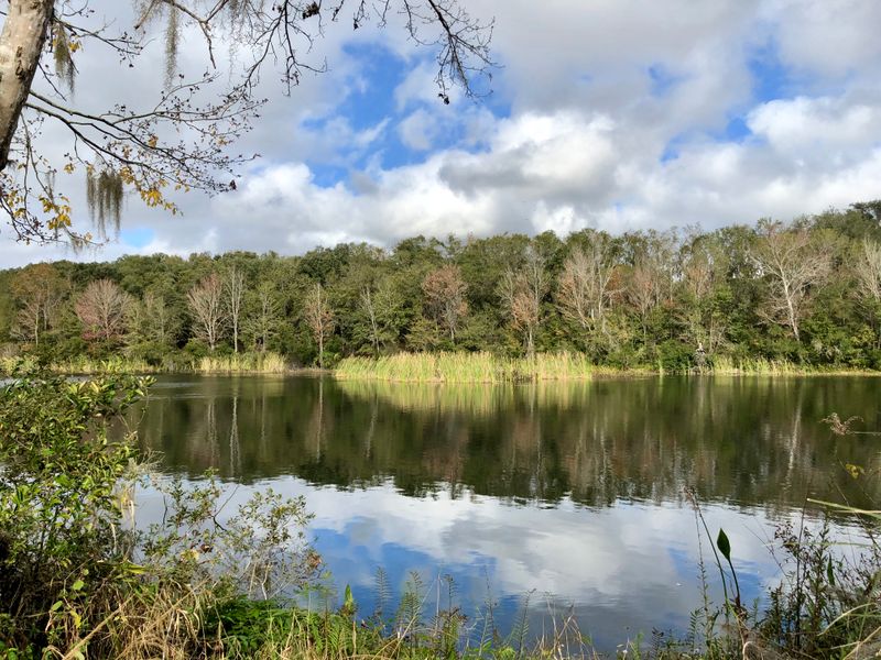 Alafia River State Park – Lithia