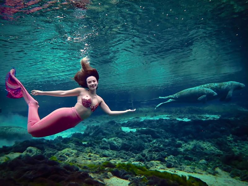 Weeki Wachee River — Weeki Wachee Springs State Park (Spring Hill)