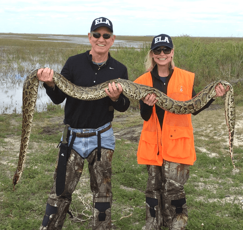 Record-Breaking Florida Python Challenge Results
