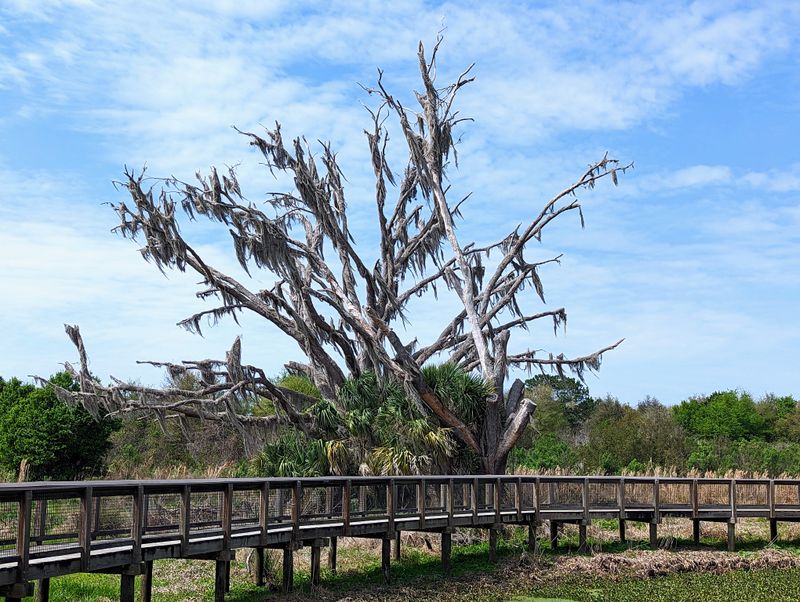 The Takeaway: Who This Park Is Perfect For (and What to Expect)