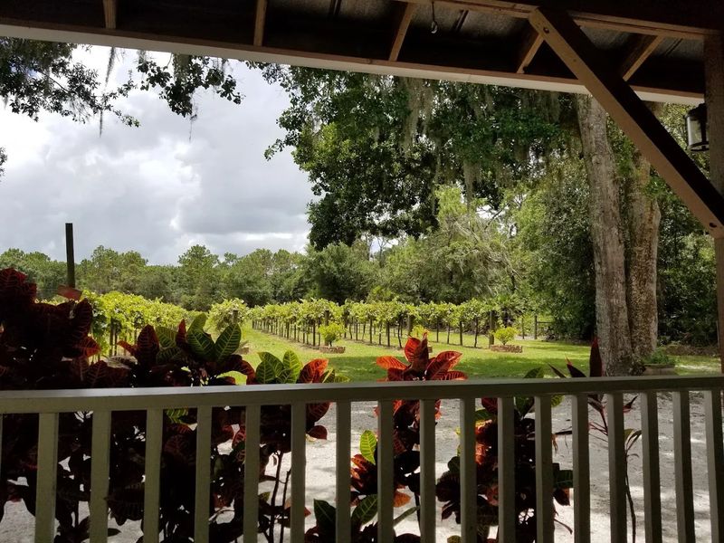 Fiorelli Winery & Vineyard – Bradenton