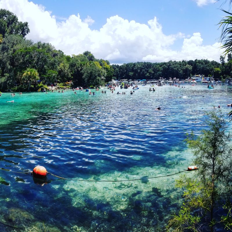 Silver Glen Springs — Salt Springs