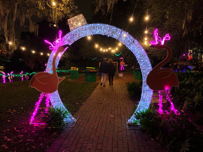 Lights in Bloom at Marie Selby Botanical Gardens, Sarasota