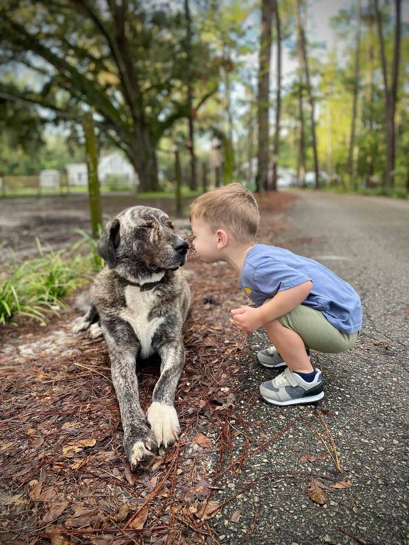 Family-Friendly Farm Experience for All Ages