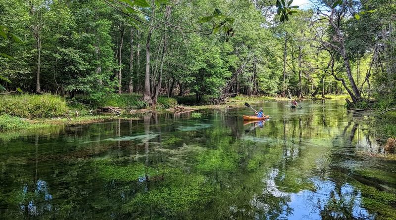 Paddle a designated Florida paddling trail