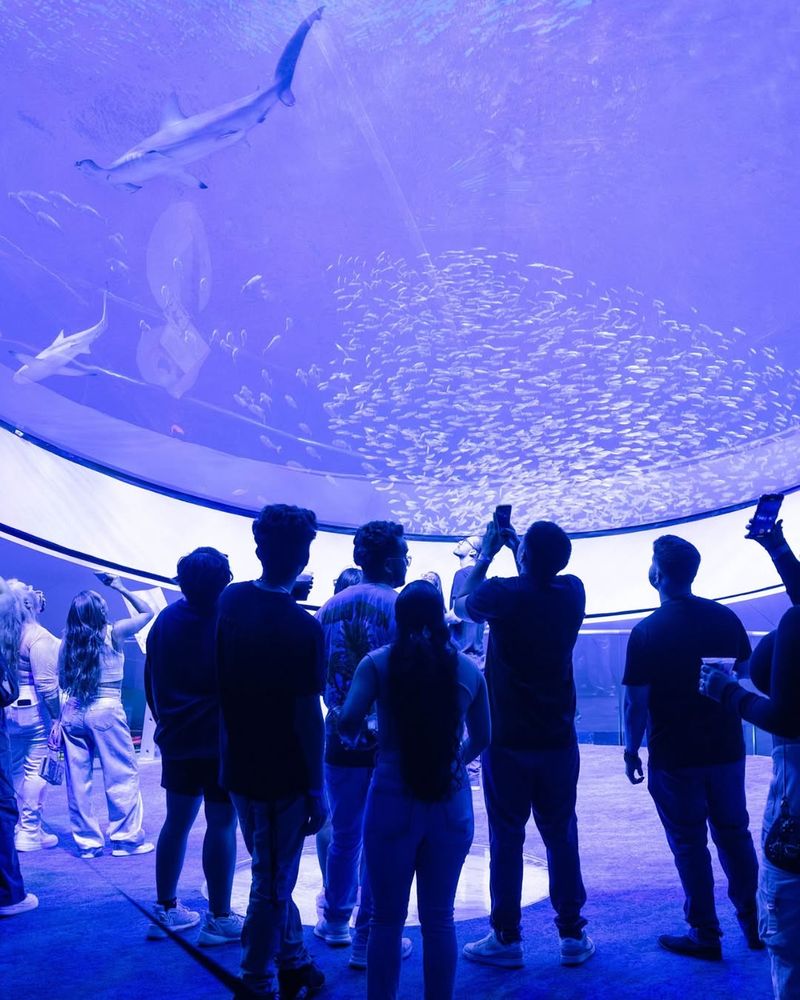 Catch an adults-only night at Frost Science (nightLAB)