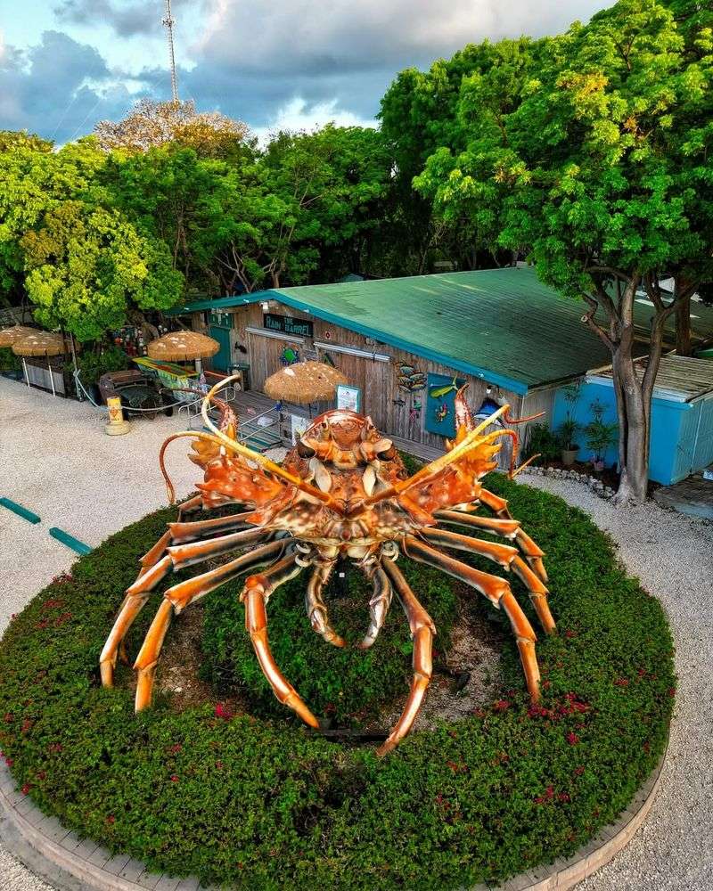 Betsy the Lobster – Islamorada
