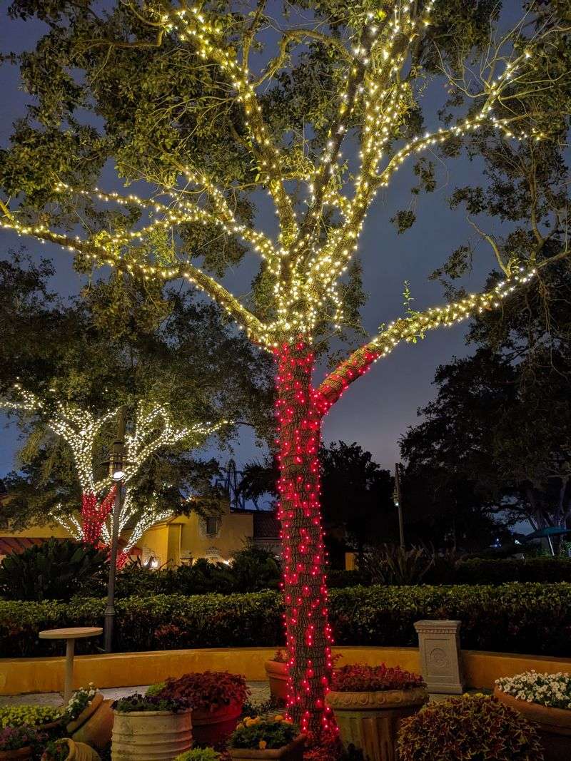 SeaWorld Orlando Christmas Celebration (Orlando)