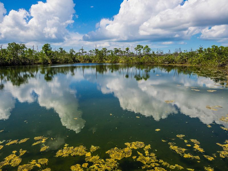 Blue Hole (Big Pine Key)