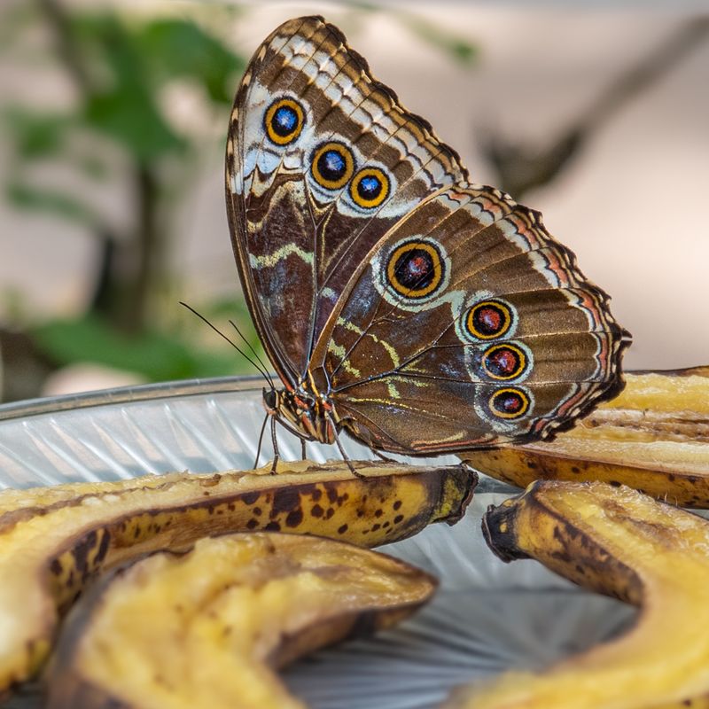 Plan Your Visit: Best Time to Go + Simple Travel Tips