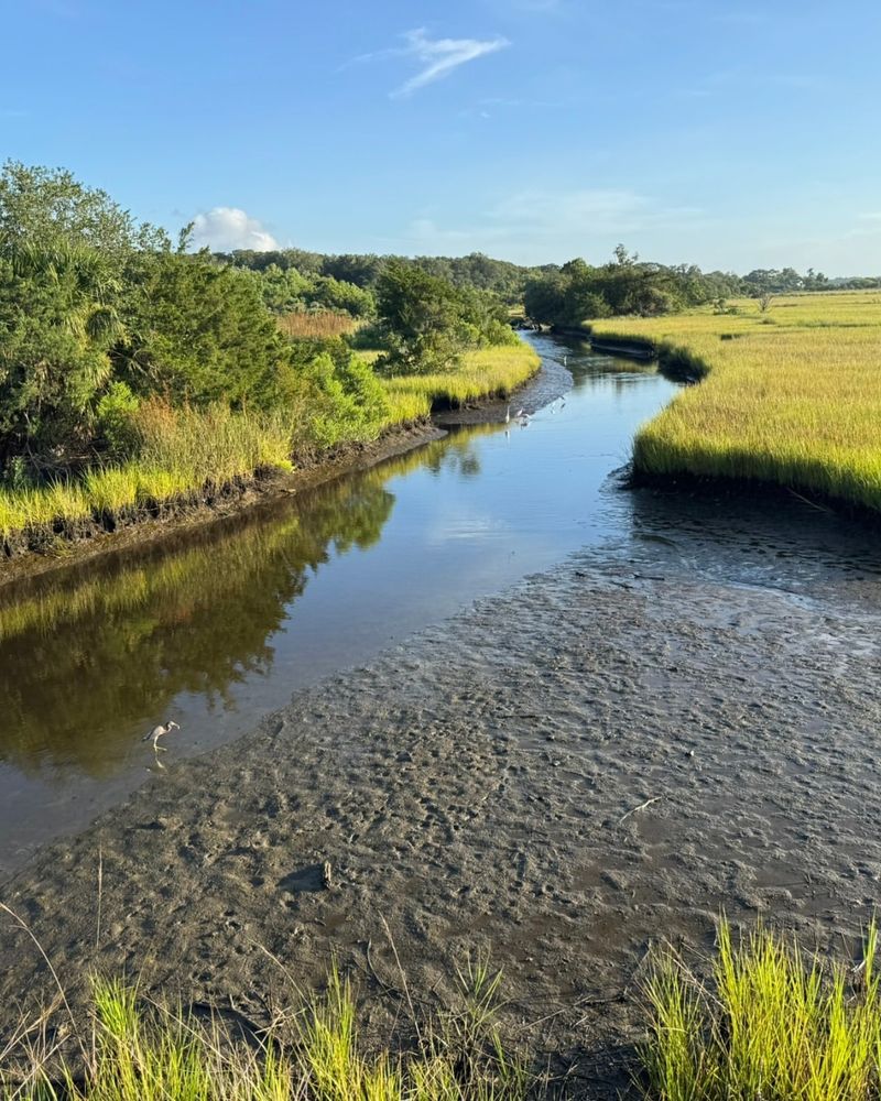 Egans Creek Greenway