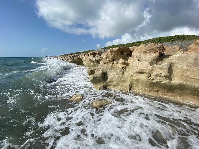 Blowing Rocks Preserve – Jupiter