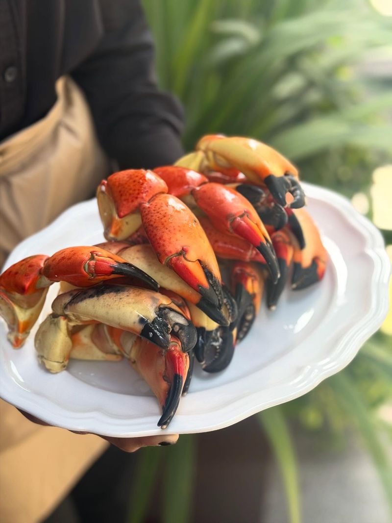 Fresh Florida Stone Crab