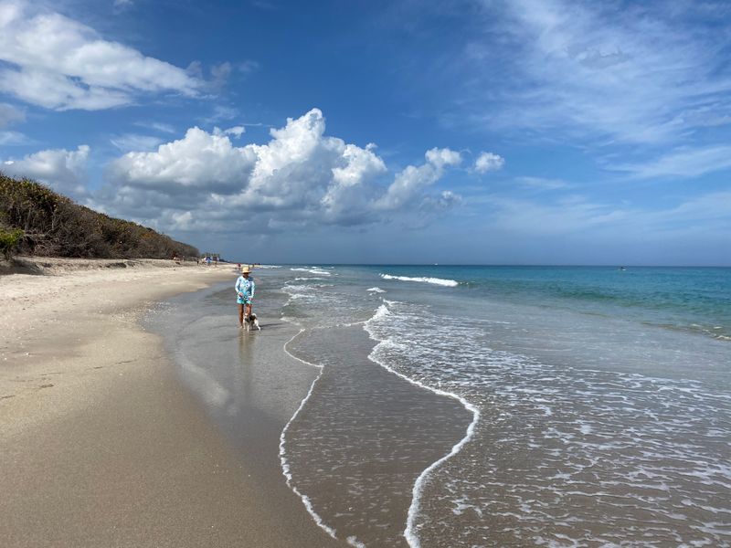 Jupiter Off-Leash Dog Beach – Jupiter, FL