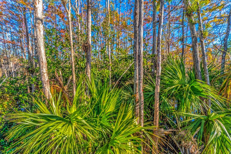 Everglades Restoration Hit a Major Project Milestone