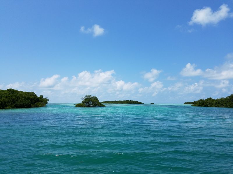 Great White Heron National Wildlife Refuge