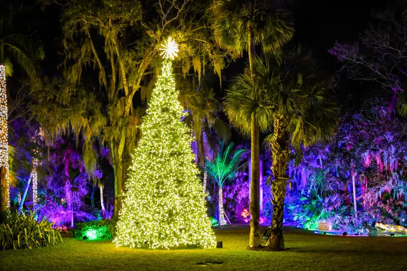 Jungle Lights at McKee Botanical Garden, Vero Beach