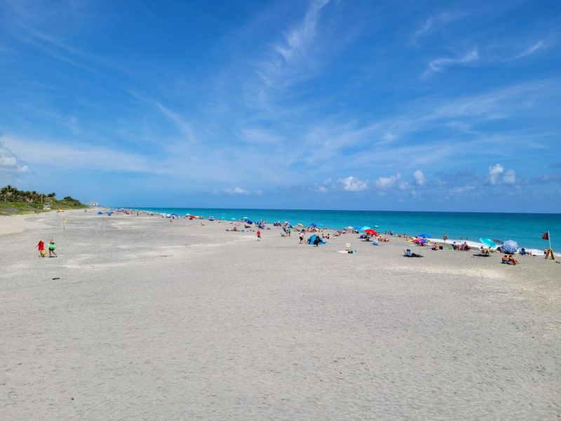 The Beaches Where Sea Turtles Nest Most Often
