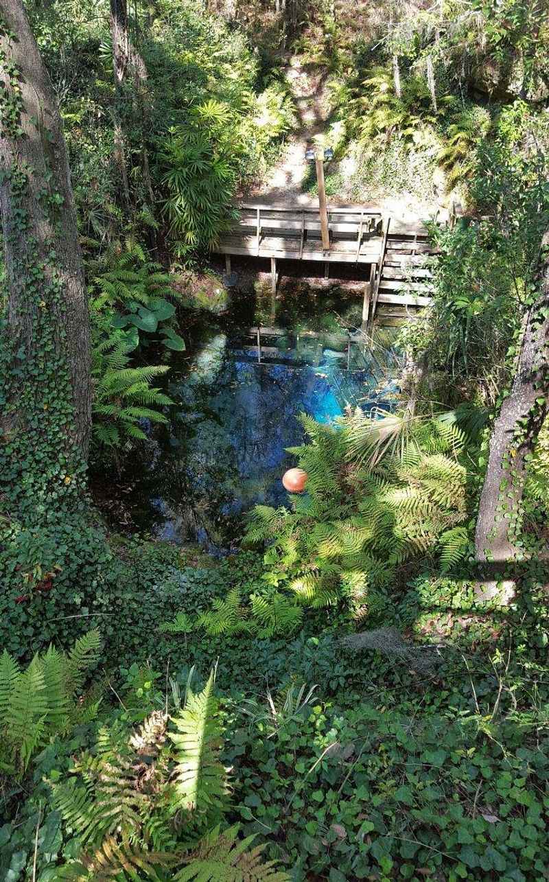 Paradise Springs – Ocala, FL