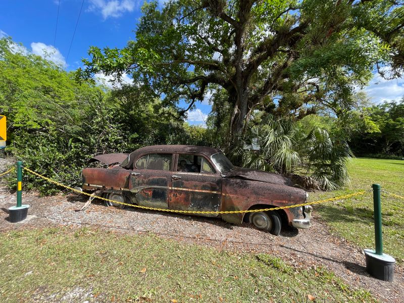 Big Cypress National Preserve – Loop Road Scenic Drive