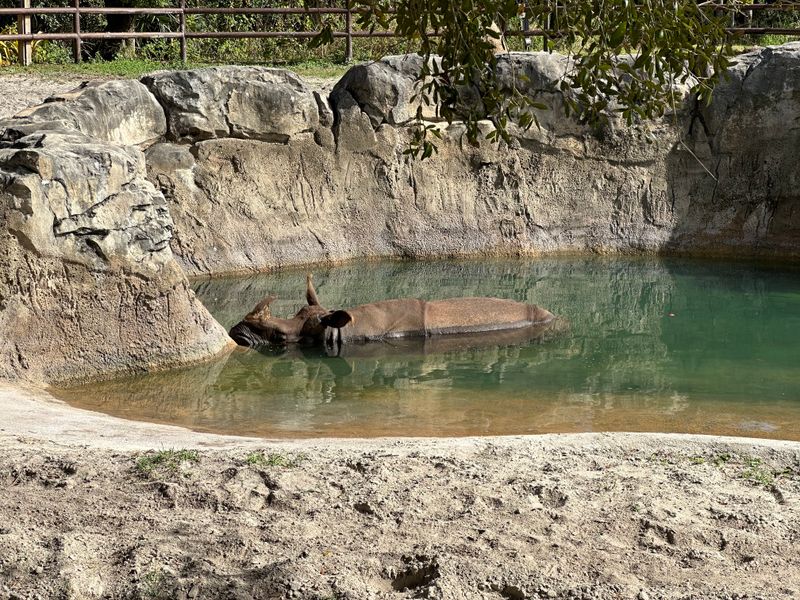 Central Florida Zoo – Sanford