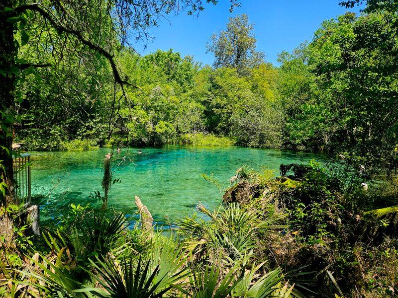 Ichetucknee Springs State Park
