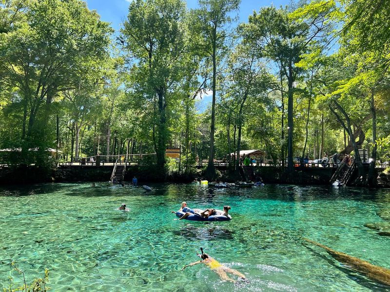 Ginnie Springs (High Springs)