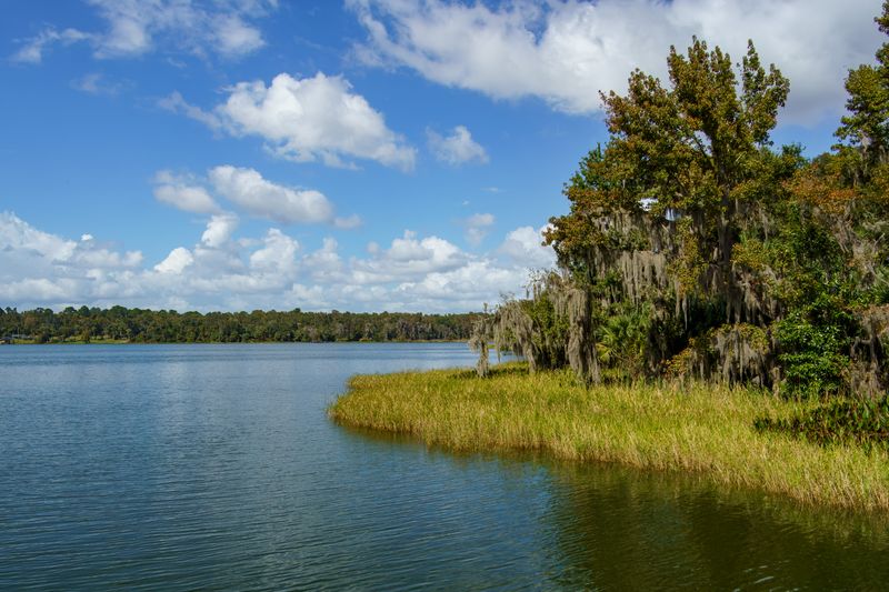 The Park's Backstory: How Horses Ended Up Roaming Here