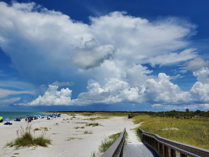 Fort De Soto Dog Beach – St. Petersburg, FL