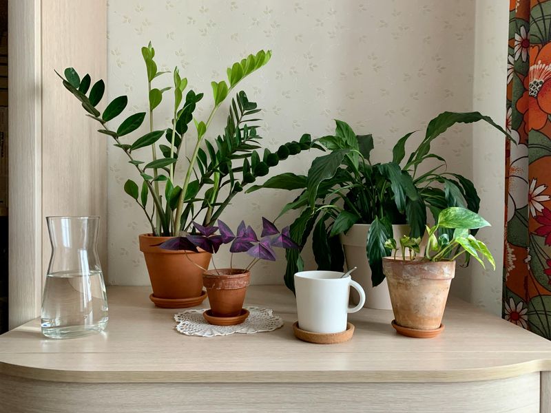 Incorporate Natural Elements