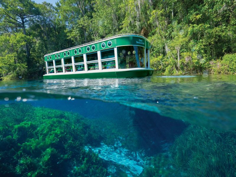 Ride the Silver Springs glass-bottom boats