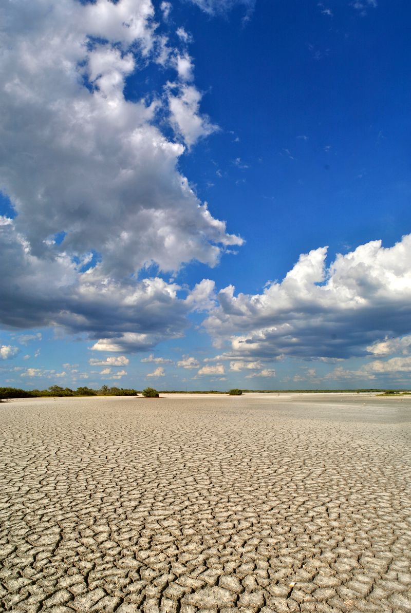 Estero Bay Salt Flats at Winkler Point