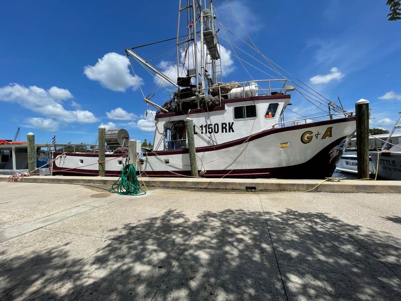 Tarpon Springs Sponge Docks