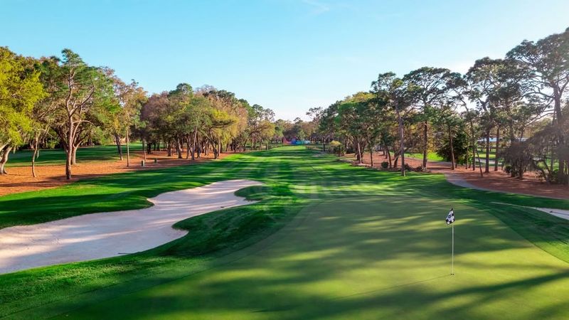 Copperhead Course (Palm Harbor)